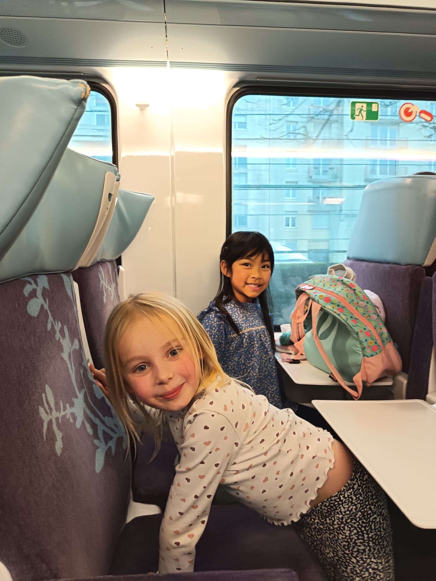 WhatsApp Image 2026-01-29 at 16.31.09