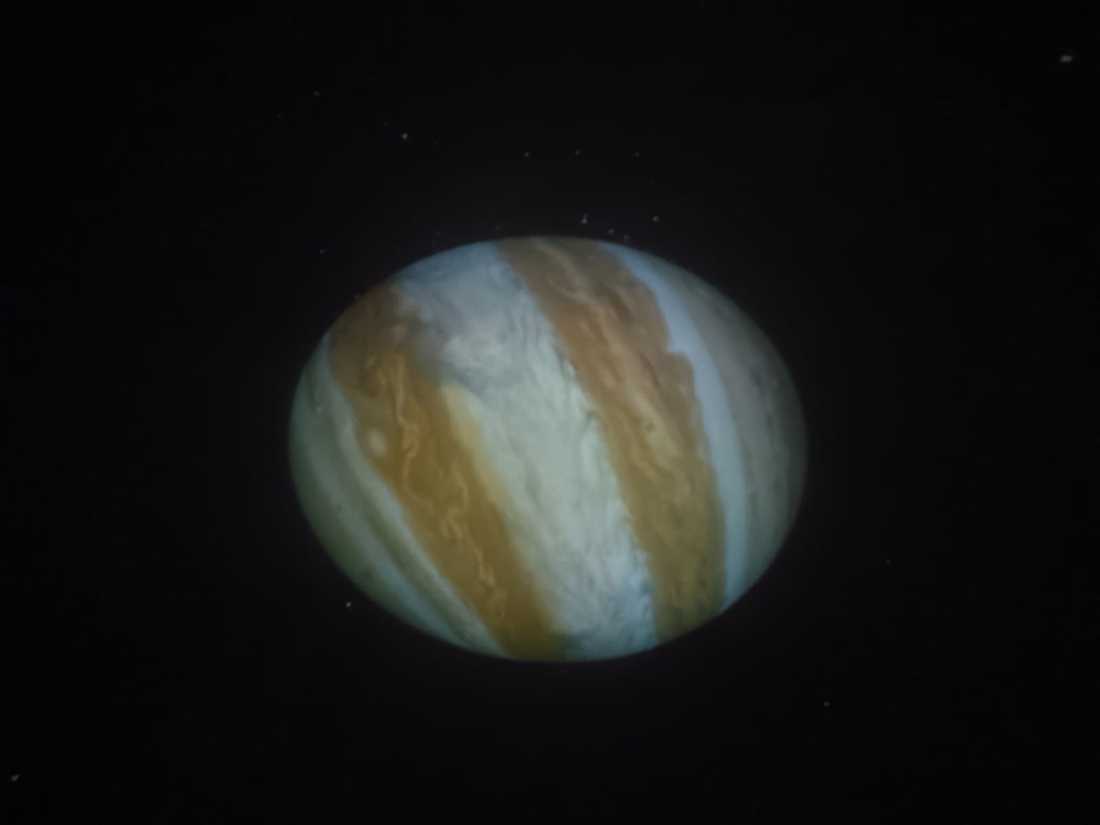 WhatsApp Image 2026-01-29 at 16.57.28