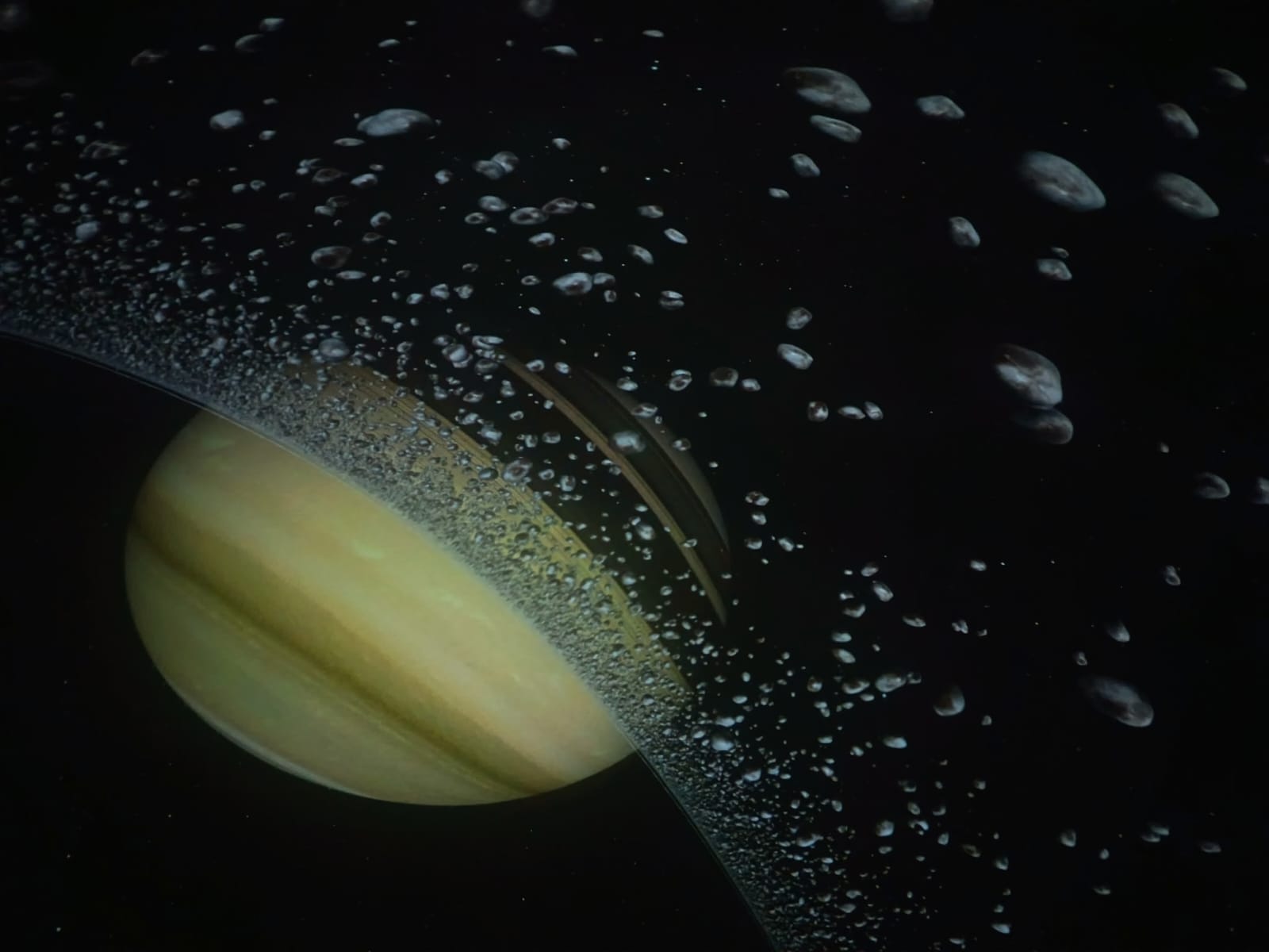 WhatsApp Image 2026-01-29 at 16.57.282